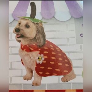 Rubie’s Pet Shop Strawberry Outfit With Hat - Size S New!